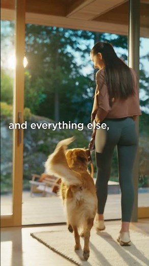 Dog FortiFlora Supplement #PurinaProPlan #VetSupplements #Shorts
