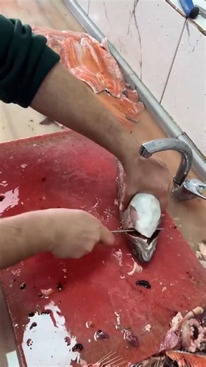 Smooth, Fresh & Fast Fish Cutting 🐟 Amazing Knife Skills #shorts #fish #salmon