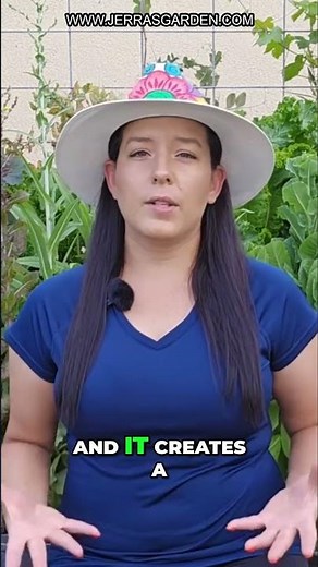 Stop Pests: Crop Rotation & Mixed Planting Secrets Revealed!