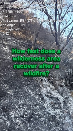 TreePeople on Instagram: "One year ago this month, one of our @treepeoplelandtrust sites burned in the 2024 Franklin Fire. Here’s what it looks like today–and what the next steps will look like for recovery. Want to help us with important restoration work like this across Southern California? Consider adding our Wildfire Resilience Fund to your year-end giving plans! 100% of your gift goes directly to restoring fire-scarred landscapes, expanding fire prevention efforts, and protecting our commun