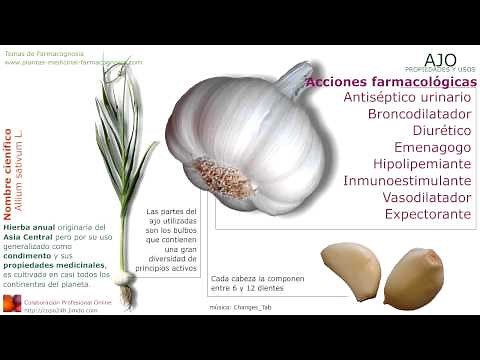 Ajo. Propiedades y beneficios del ajo. Usos medicinales