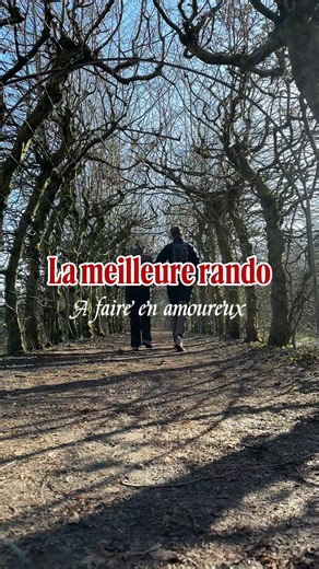 La rando parfaite à faire avec ton 1 🤝 Calme, accessible et complètement hors du temps… la Charmille du Haut Marais est une vraie pépite à faire à deux 🌿 #Belgique #charmille #rando #nature #balade