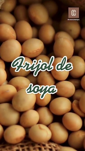 Beneficios del Frijol de Soya en la Salud