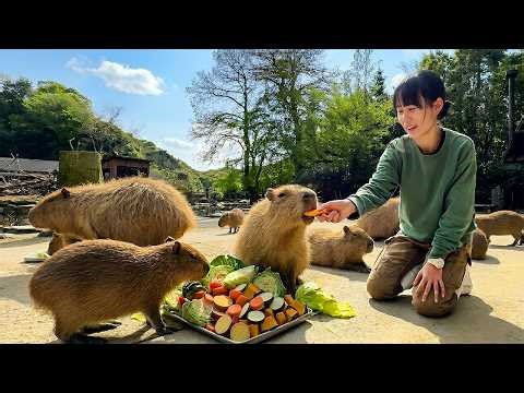 Japan Zoo! Inside the World's Most Interactive Park Feeding 2000 Animals