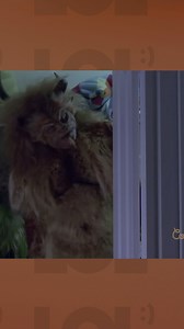 342K views · 5K reactions | LOL Just For Laughs on Reels | Facebook