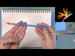 Dagger Striper Select Artiste™