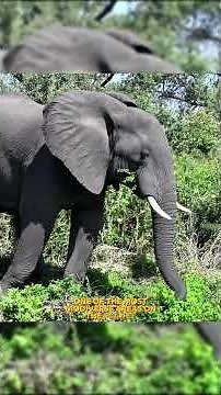 The World’s Deepest River!