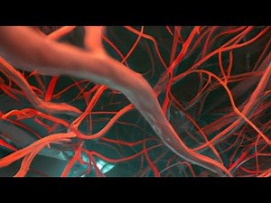 Fiche récap' Antihypertenseurs