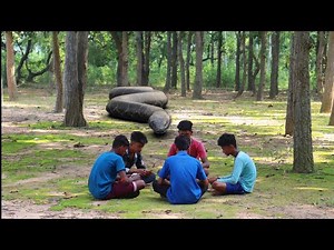 Anaconda Snake Attack On Village Boy In Forest | Card Playing Time