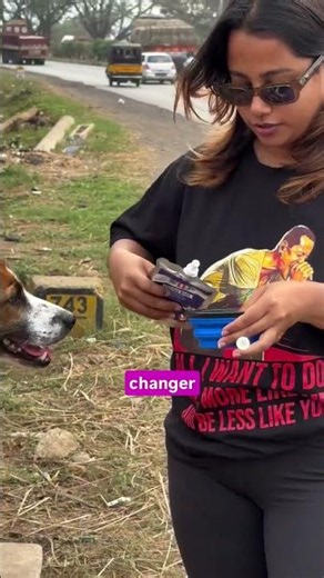 BLEP Pet Food Travel Review: Managing Dog Food and Digestion on Long Journeys 👋