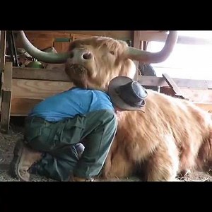 663K views · 284 reactions | Farming Works on Reels | Facebook