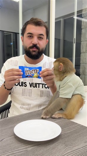 Funny Monkey Eating Banana Video Compilation