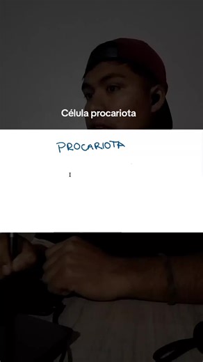 Estructura de la Célula Procariota: Membrana y ADN