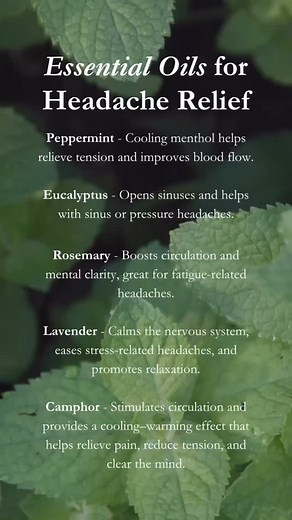 35 reactions · 5 comments | Essential Oils for Headache Relief Comment RELIEF and we will send you a roll-on for headache relief! #essentialoils #holisticliving #holisticwellness #headacherelief | Holistic Beauty Essentials | Facebook
