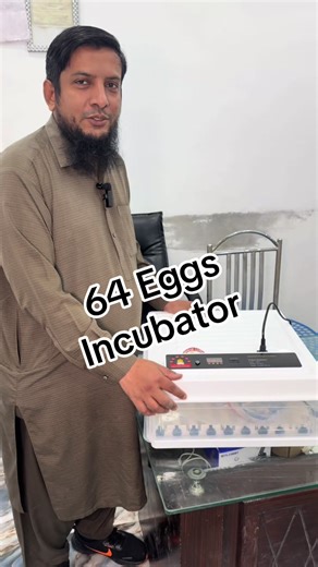 Ac/dc incubator #pets #parrot #ringneck #macaw #grey