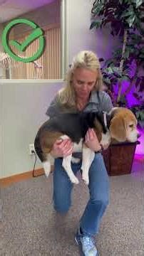 How To Pick Up a Dog Safely (Avoid Back Injury)