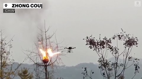 Flamethrower drone torches wasp nests in China