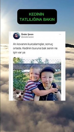 kedi#keşfet #komedi #keşfetbeniöneçıkar #ytdayibenionecikarnolur #motivasyon