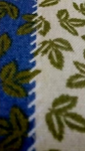 Vídeo do lomotif viralizado adolescentes link descrição