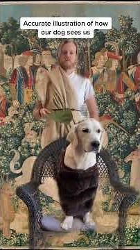 How Dogs See Humans!