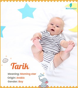 Tarik Name Meaning, Origin, History, And Popularity