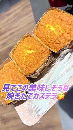 多古町の東京カステラパークで絶品カステラを楽しむ