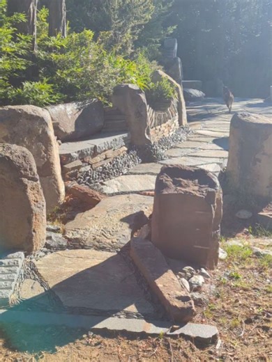 David Oliver on Reels