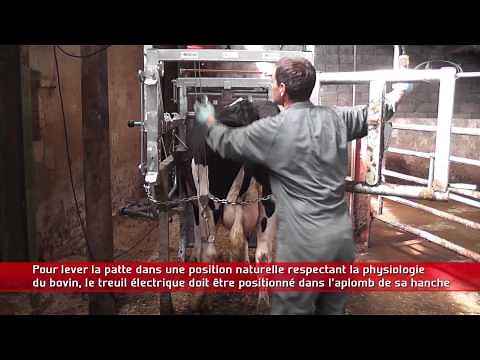 Parage bovin : cage CCP3000 Satene