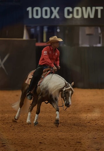 Reining Techniques: Back to Training with Horses