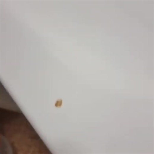 Britain’s Worst Hotel – Norbreck Castle, Blackpool | Dad Loves Food