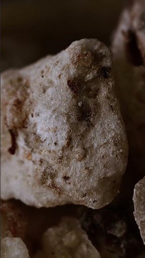White Copal and Black Copal | Understanding the Difference