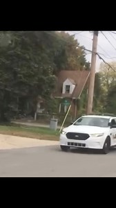 the police chasing my neighbor Dog 🤣🤣🤦🏾‍♂️ | Terrell green