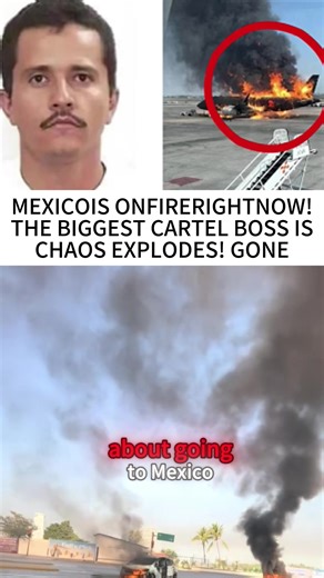 Mexico in Chaos: US Tourists Stranded