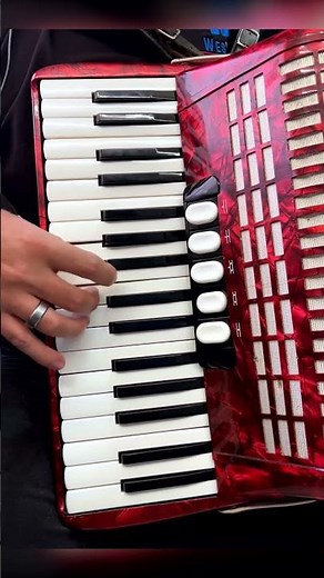 Pero quererte Jamas - Acordeon de teclas #peroquerertejamas #loscanelosdedurango #acordeondeteclas