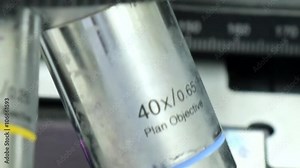 look into the microscope at sample of blood