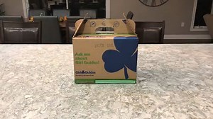 Girl Guide Cookies [Act 1] 3 Act Math Task Skip Counting and...