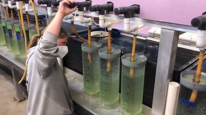 17K views · 196 reactions | Bugg's Island Lake/Kerr Reservoir boasts...