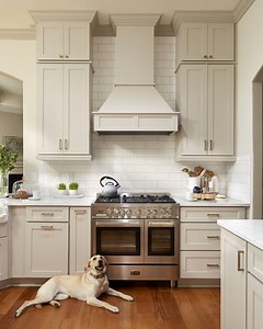 100 reactions · 14 shares | Remodeling your kitchen? Bring your dream kitchen to life with our free design service. Getting started is easy! | CliqStudios | Facebook