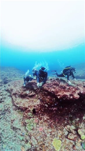 Shotgun Komodo National Park strong current
