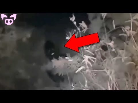 Scary Encounters Filmed Deep in the Woods