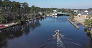 Protecting our ecosystem: Why we should care and the biggest threats to our local environment