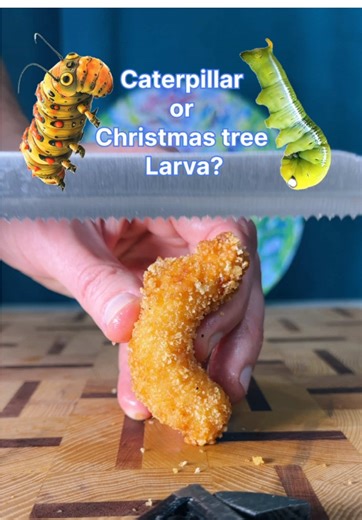 Caterpillar 🐛 or Christmas tree Larva? #oddlysatisfying #guessthesnack #kitchenchaos