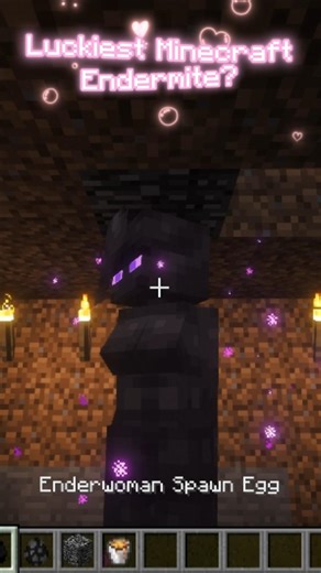 Minecraft Moment Wait for it 🤯