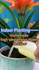 #garden #nature #flowers #gardening #plants #flower #photography #naturephotography #green #love #gardenlife #summer #gardendesign #jardin #garten #beautiful #landscape #spring #plant #gardeninspiration #home #naturelovers #macro #mygarden | The Secret Garden