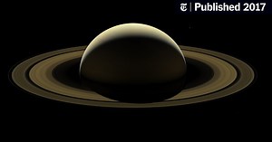 What We Learned in 2017 (Published 2017)