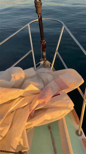 Post race sailing on the Cal 40 Westerly #cal40 #sailing