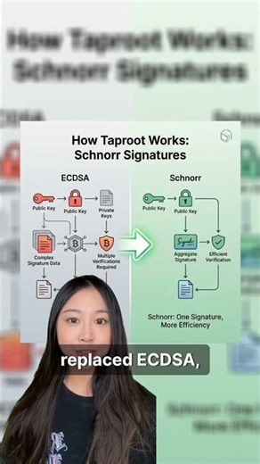 Bitcoin Taproot Explained: Privacy, Speed & Scalability Upgrade!