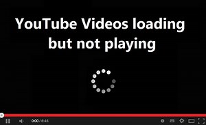 How Do I Fix YouTube Loading But Not Playing?