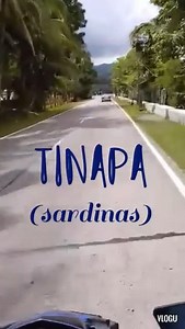 TINAPA (sardinas)🎶 Lyrics by: Su Shine Original song Turagsoy by Max Surban video by: Jun Baer | Bisong