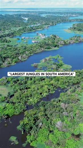 Jungles Adventure Guide: Largest In South America